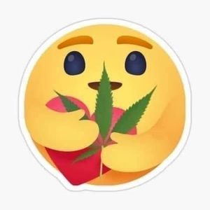 Meet your Posher, Kat